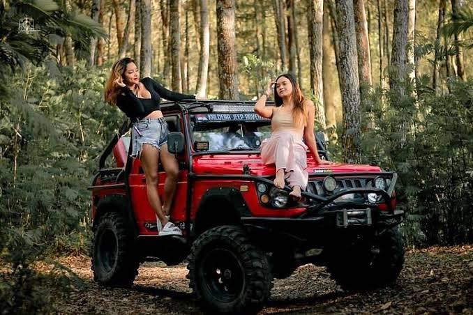 Sunrise Jeep Adventure & Nature Highlights
