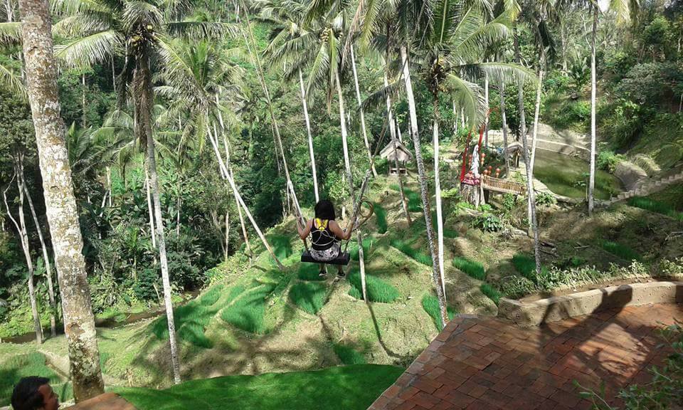 Mount Batur Sunrise & Ubud Adventure